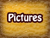 Photo Gallery